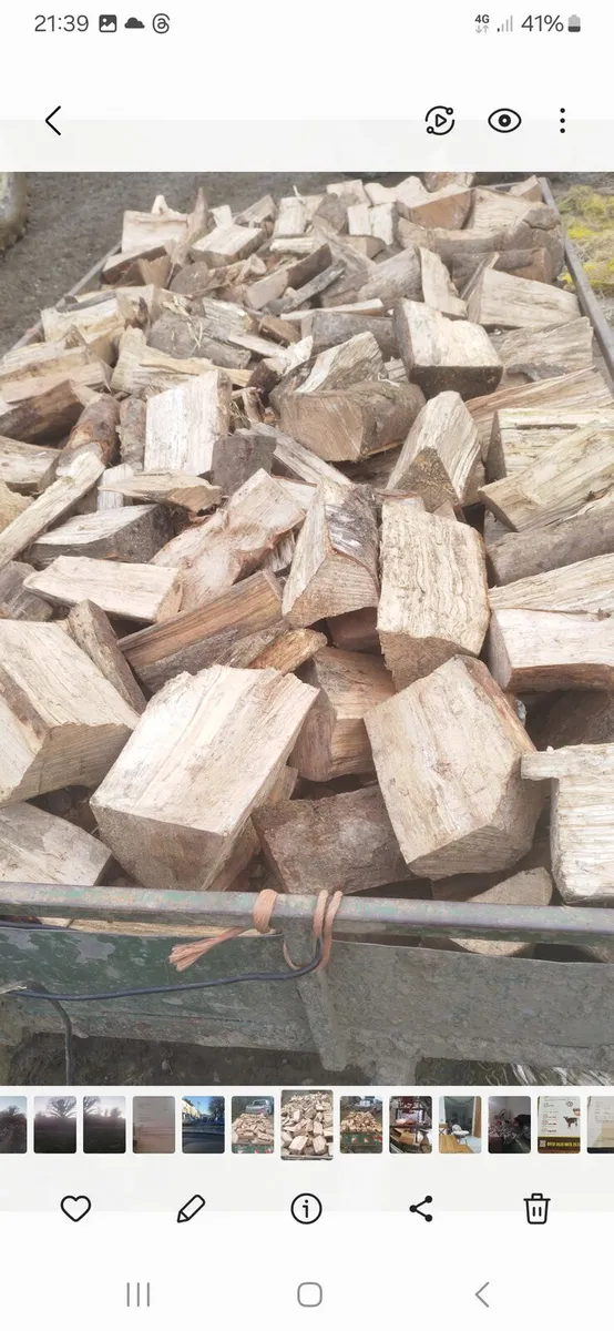 Firewood Hardwood bone dry Nationwide delivery - Image 4