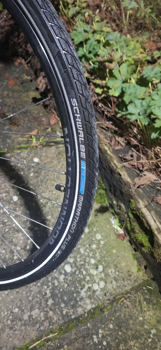 Ladies bike - Image 2