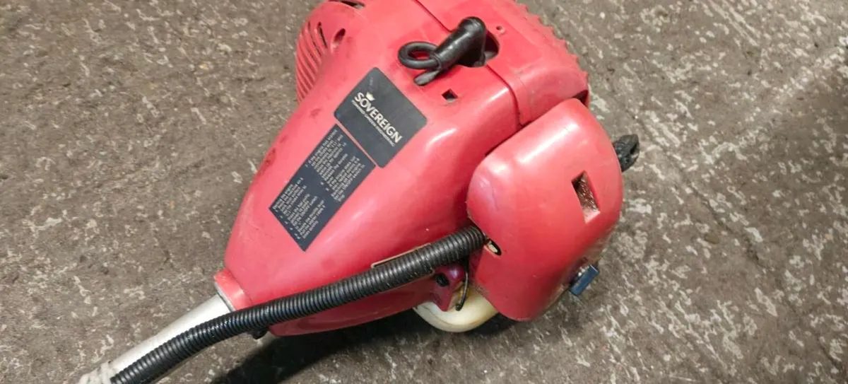 Grass trimmer - Image 2