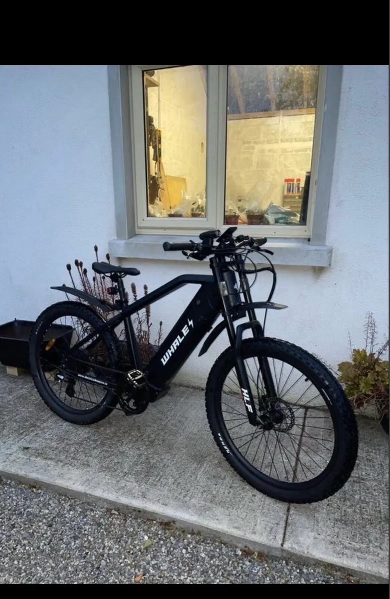 Electric bike/ e bike - Image 1