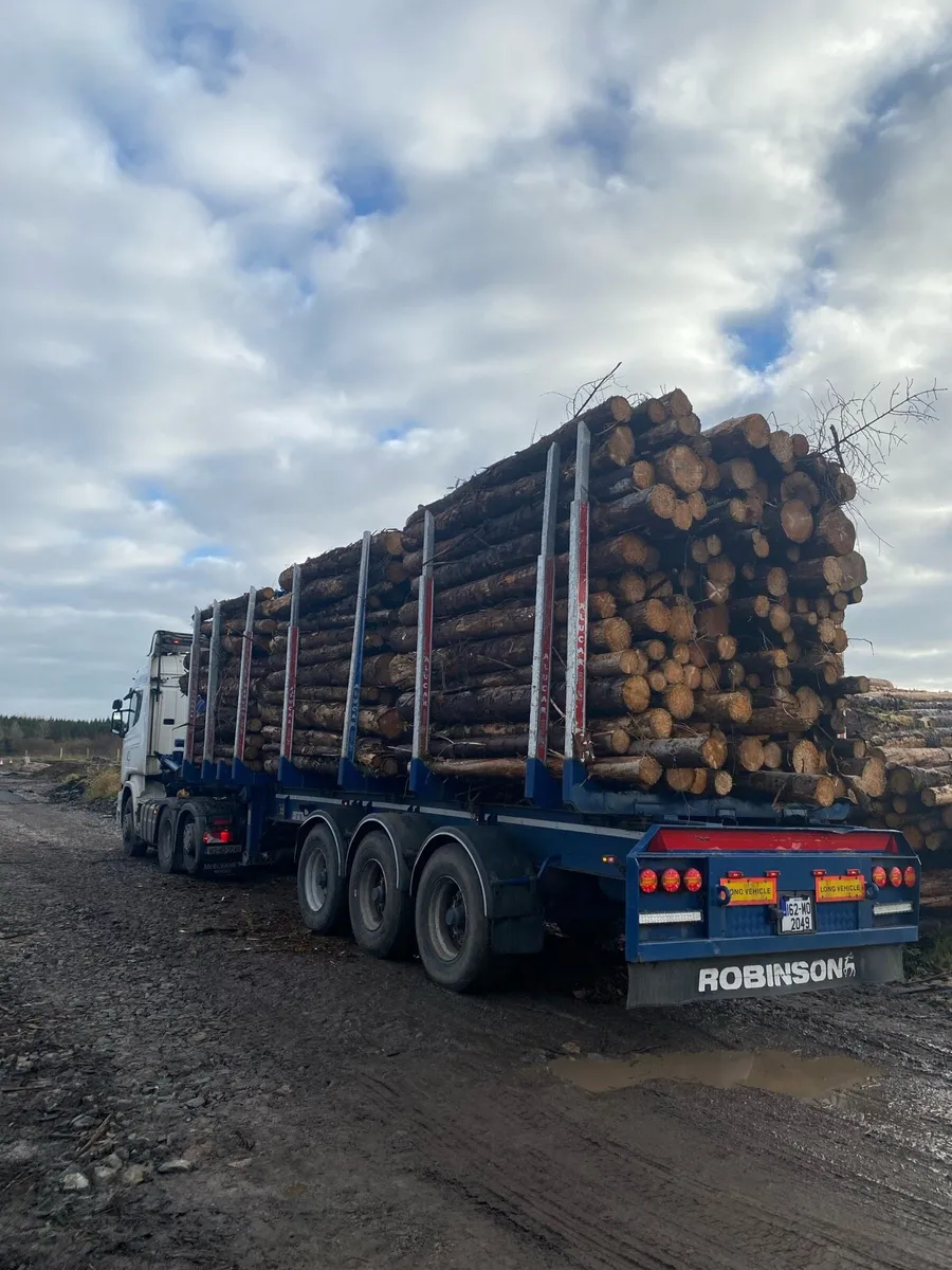Firewood timber - Image 1