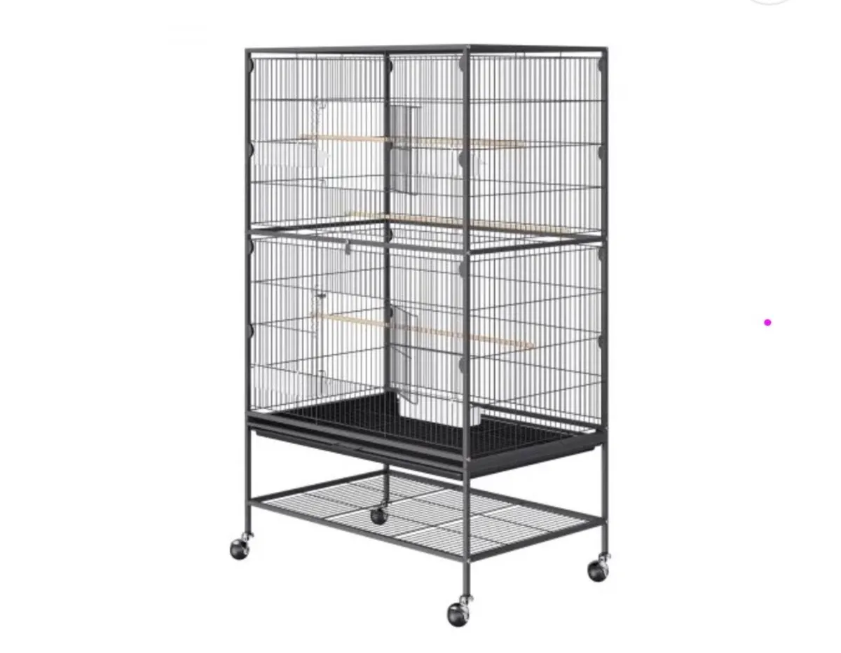 Lovebirds & XL Birdcage - Image 2