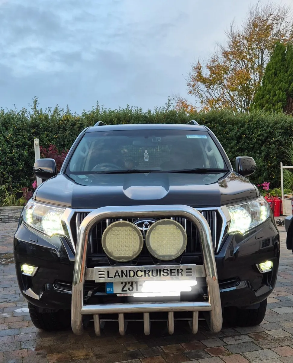 Toyota Land Cruiser A-bar - Image 3