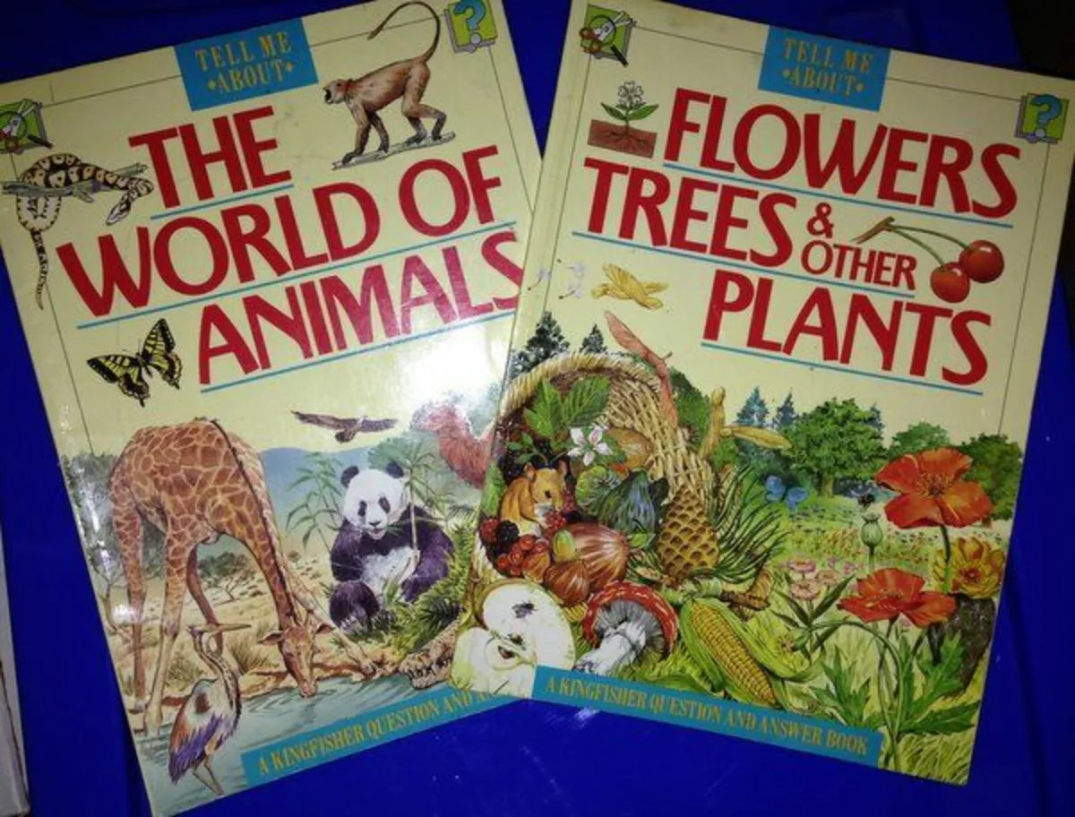 Children's Books - Image 1