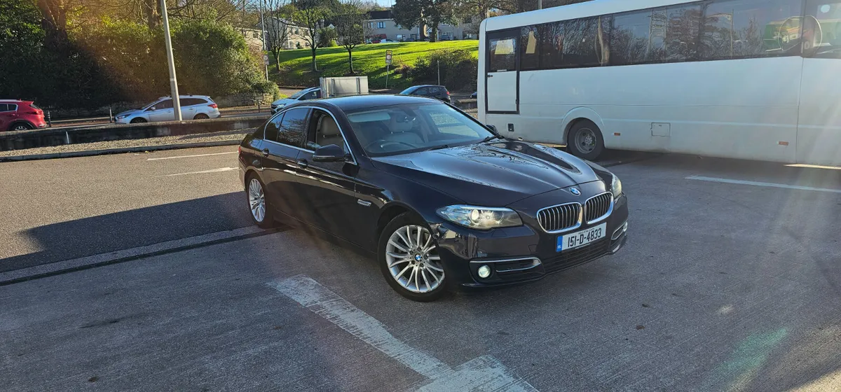 BMW 5-Series Luxury Trim - Image 1