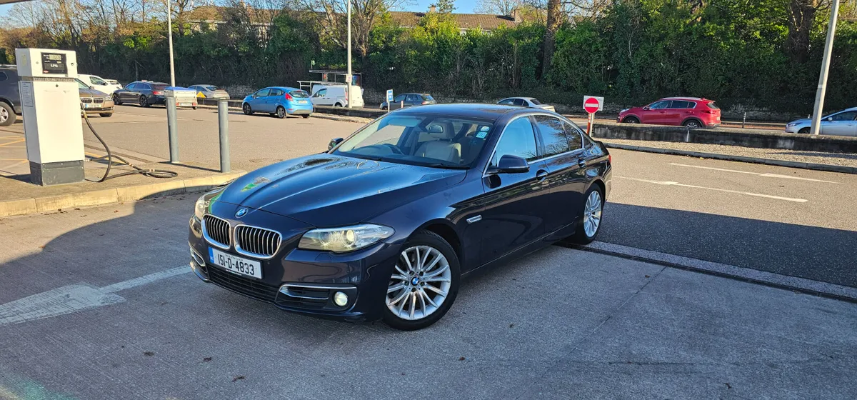 BMW 5-Series Luxury Trim - Image 2