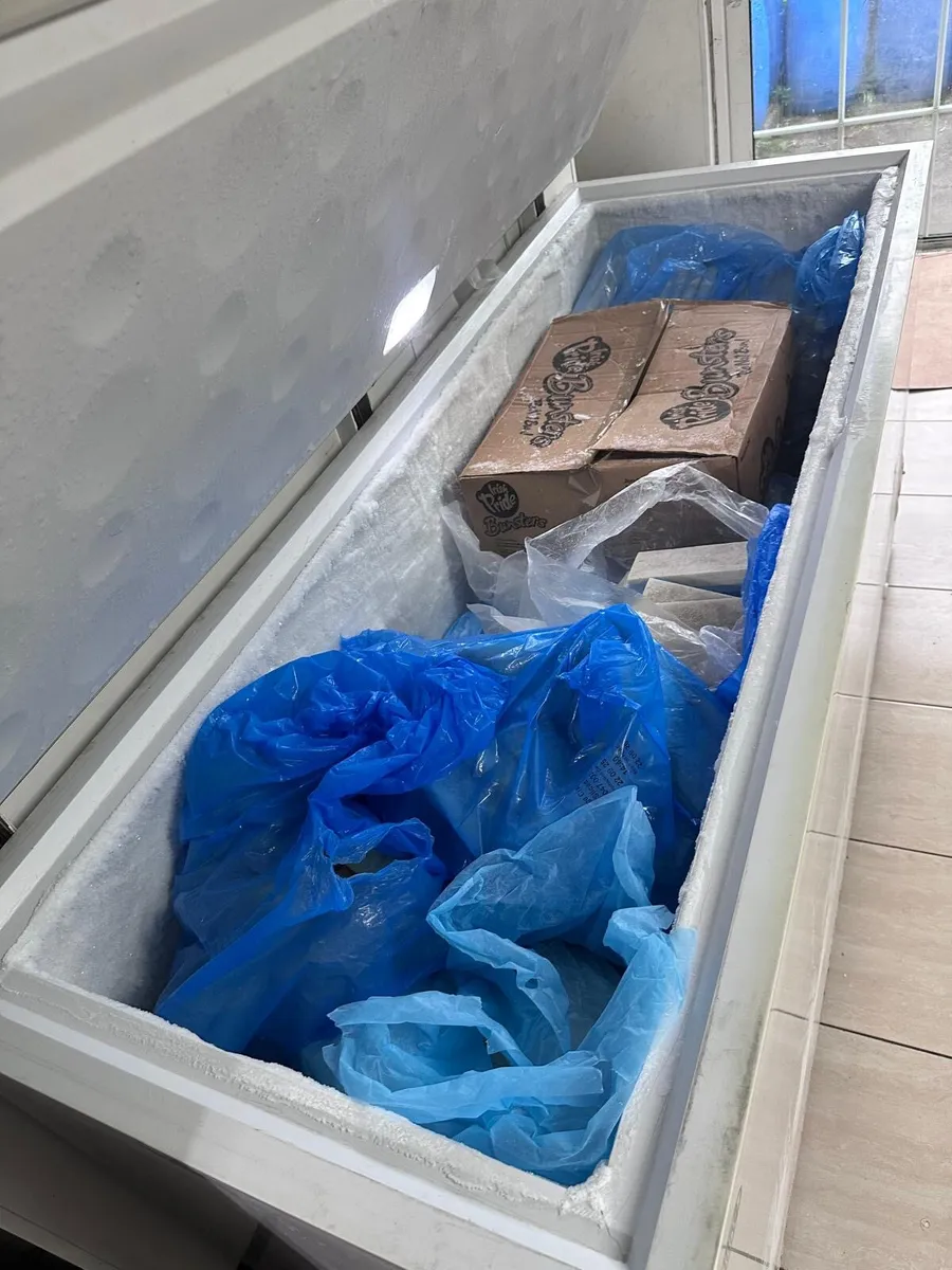 Freezer - Image 2