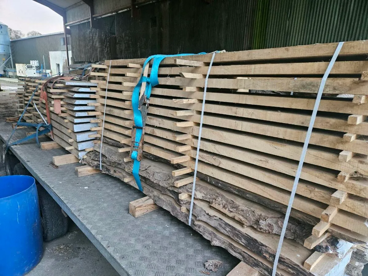 Spalted Slabbed beech - Image 1