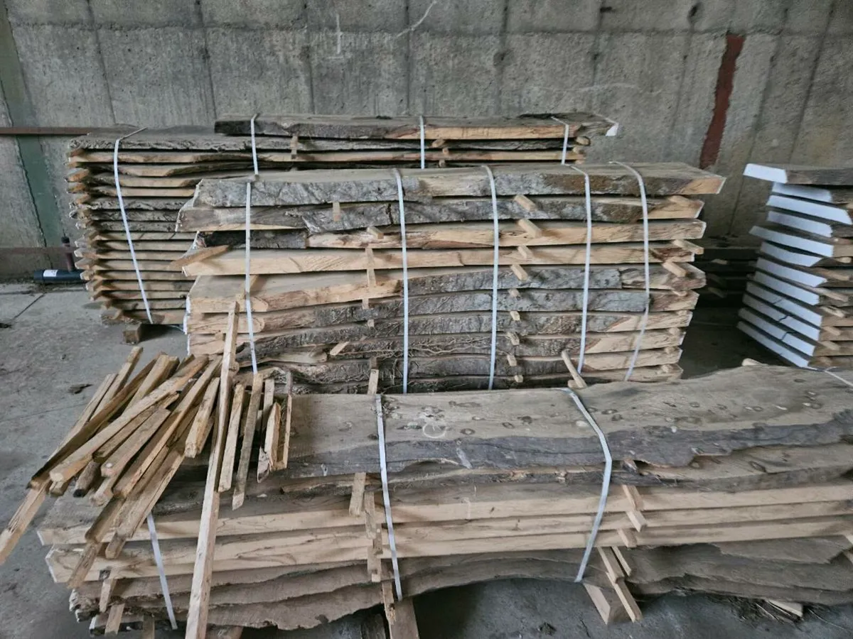 Spalted Slabbed beech - Image 2