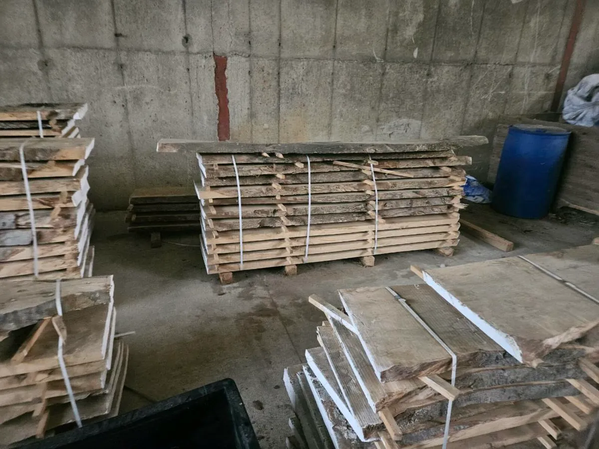 Spalted Slabbed beech - Image 4