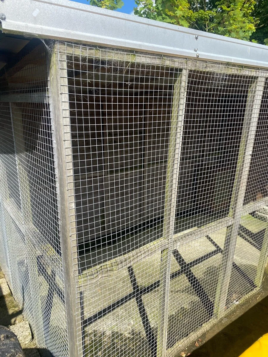 Dog Run/Shed Cattery Aviary - Image 2
