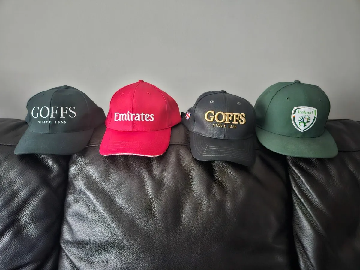 Baseball Caps - Image 1