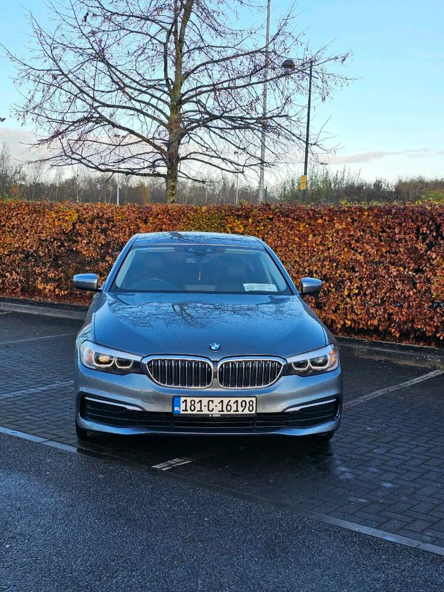 BMW 530 E 252 BHP - Image 1