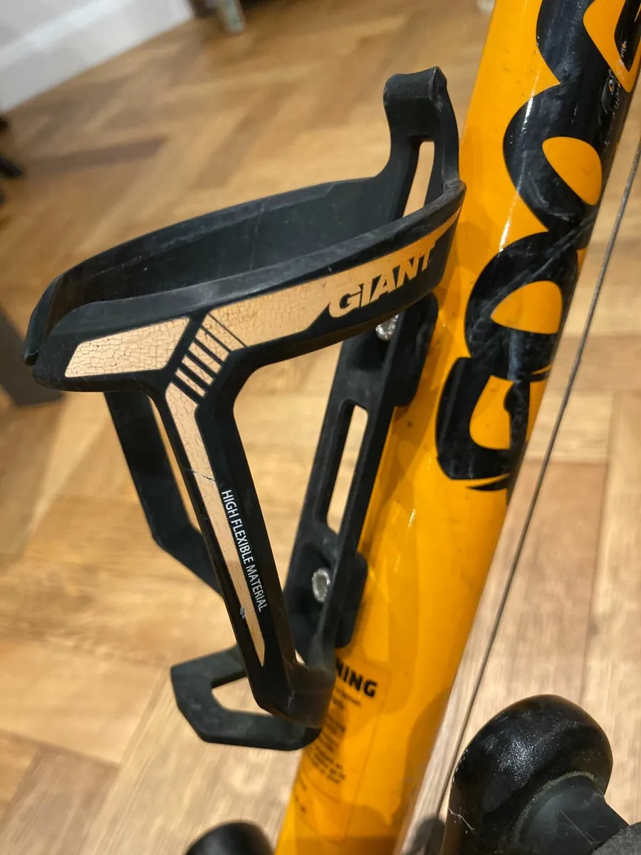 Frog Bike 69 - Image 3