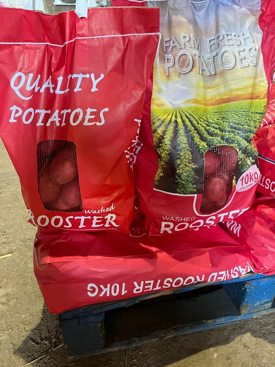 Washed rooster potatoes - Image 1