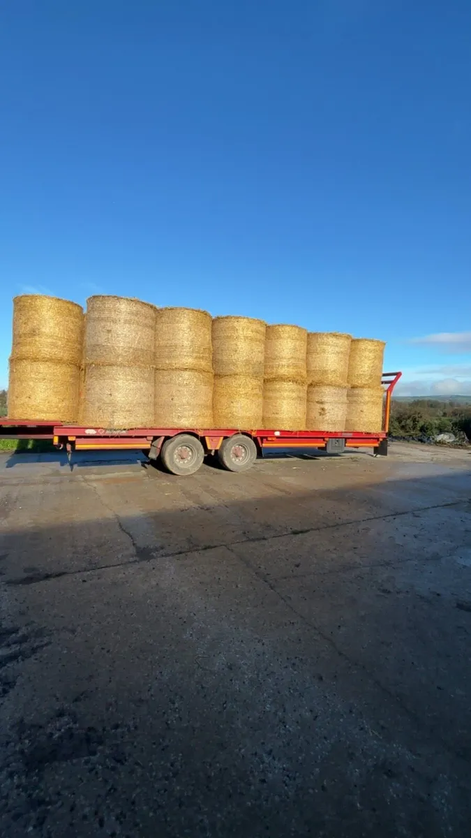 2025 Hay and straw delivered - Image 4