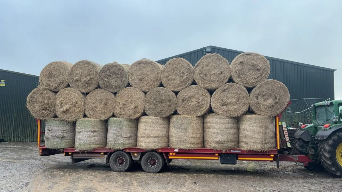 2025 Hay and straw delivered - Image 2