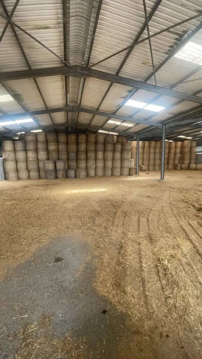 2025 Hay and straw delivered - Image 3