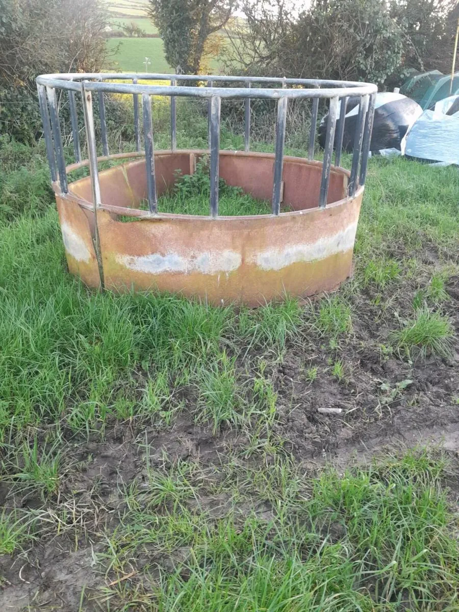 Ring feeders - Image 1