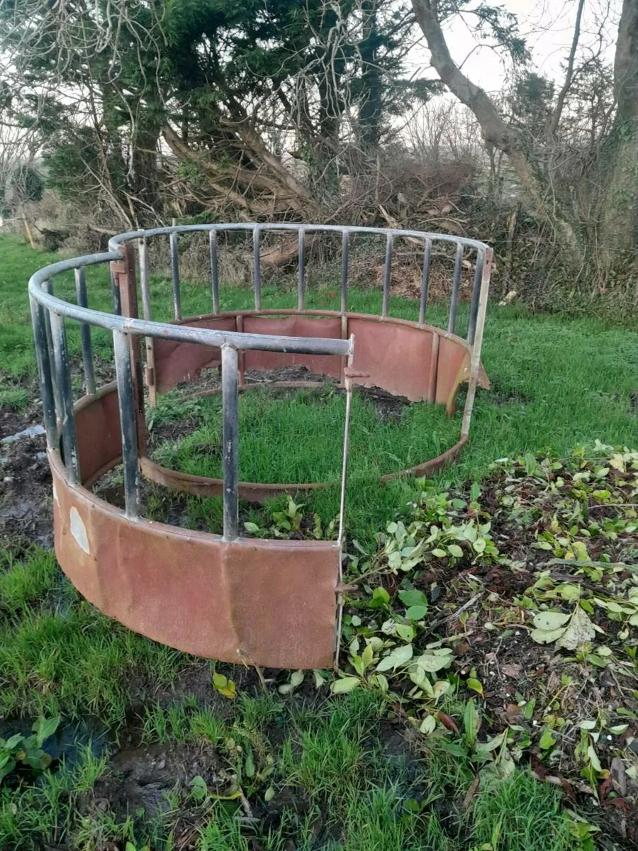 Ring feeders - Image 2