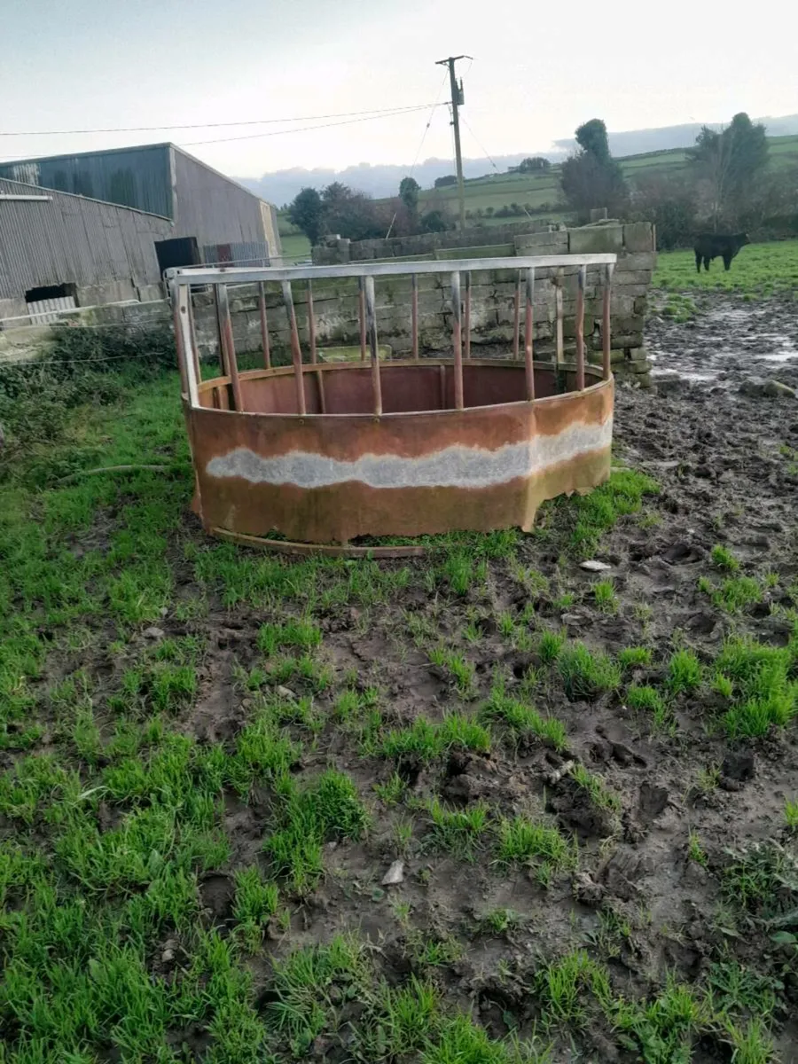 Ring feeders - Image 3