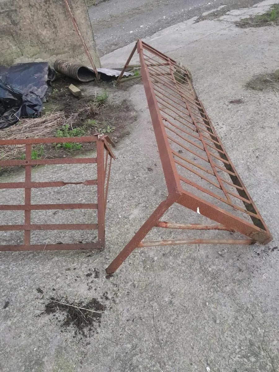 Ring feeders - Image 4