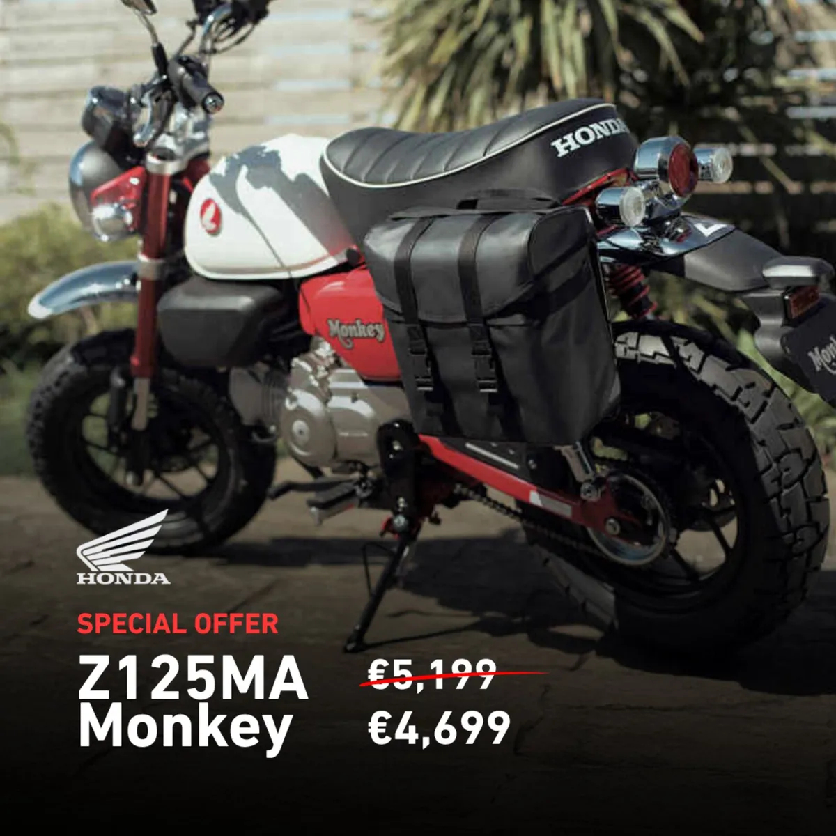 €500 OFF NEW HONDA GROM 125 MOTO4U - Image 2