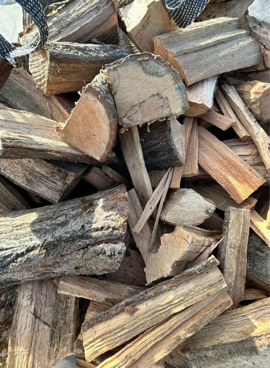 Hardwood logs - Image 2