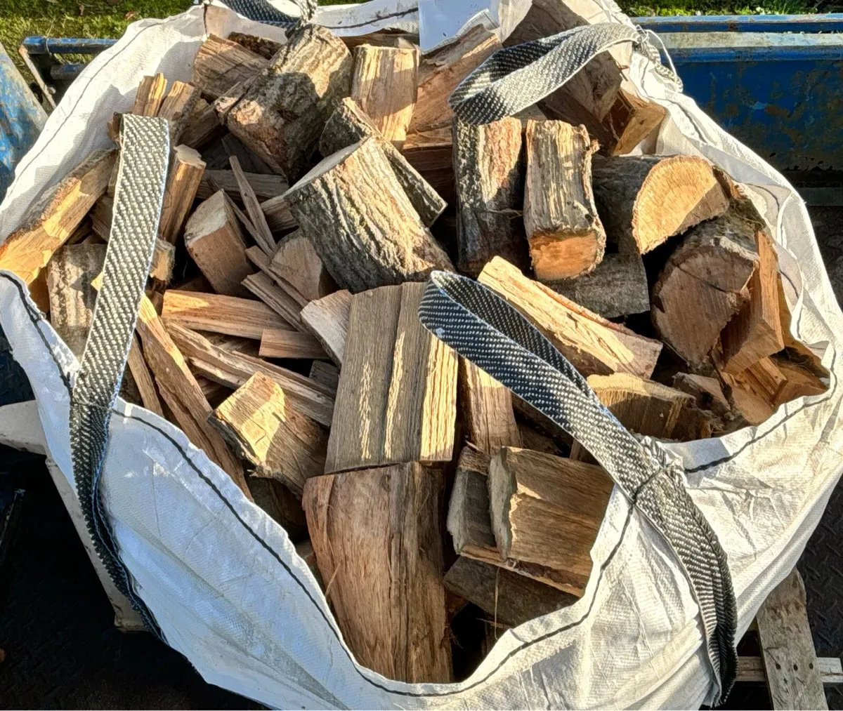 Hardwood logs - Image 3