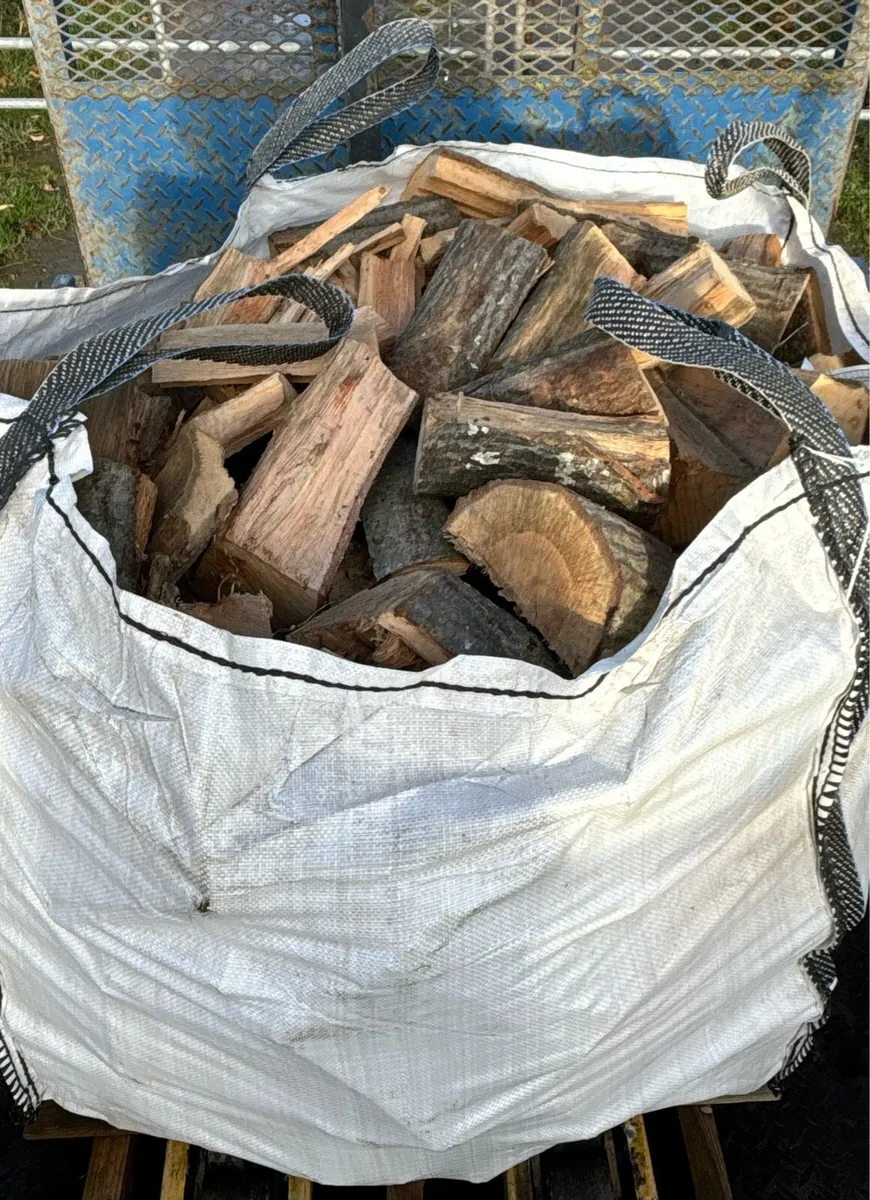 Hardwood logs - Image 4