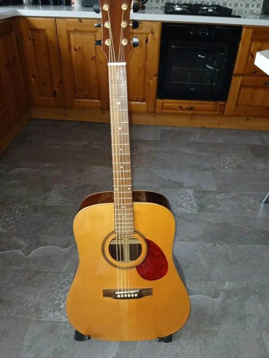 Freshman FA400D acoustic guitar - Image 1