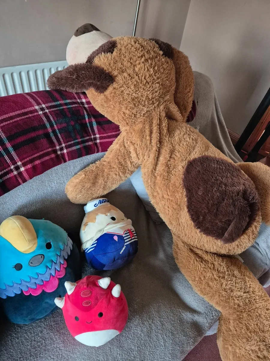 Teddies and squishmallows - Image 1