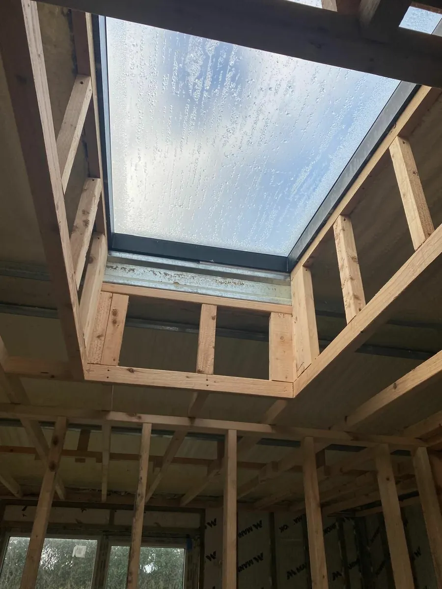 Skylights - Image 1
