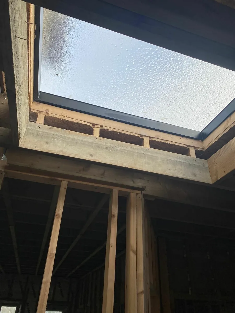 Skylights - Image 3