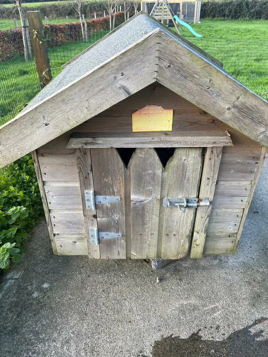 Dog Kennel