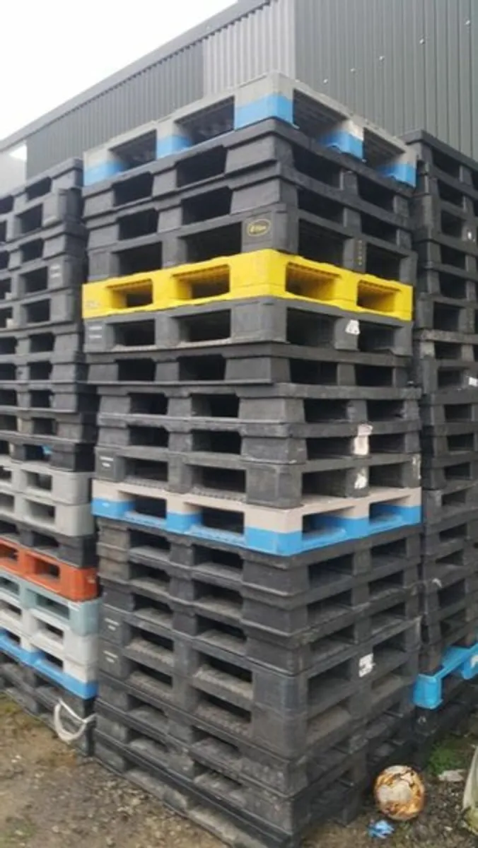 Plastic pallets - Image 1