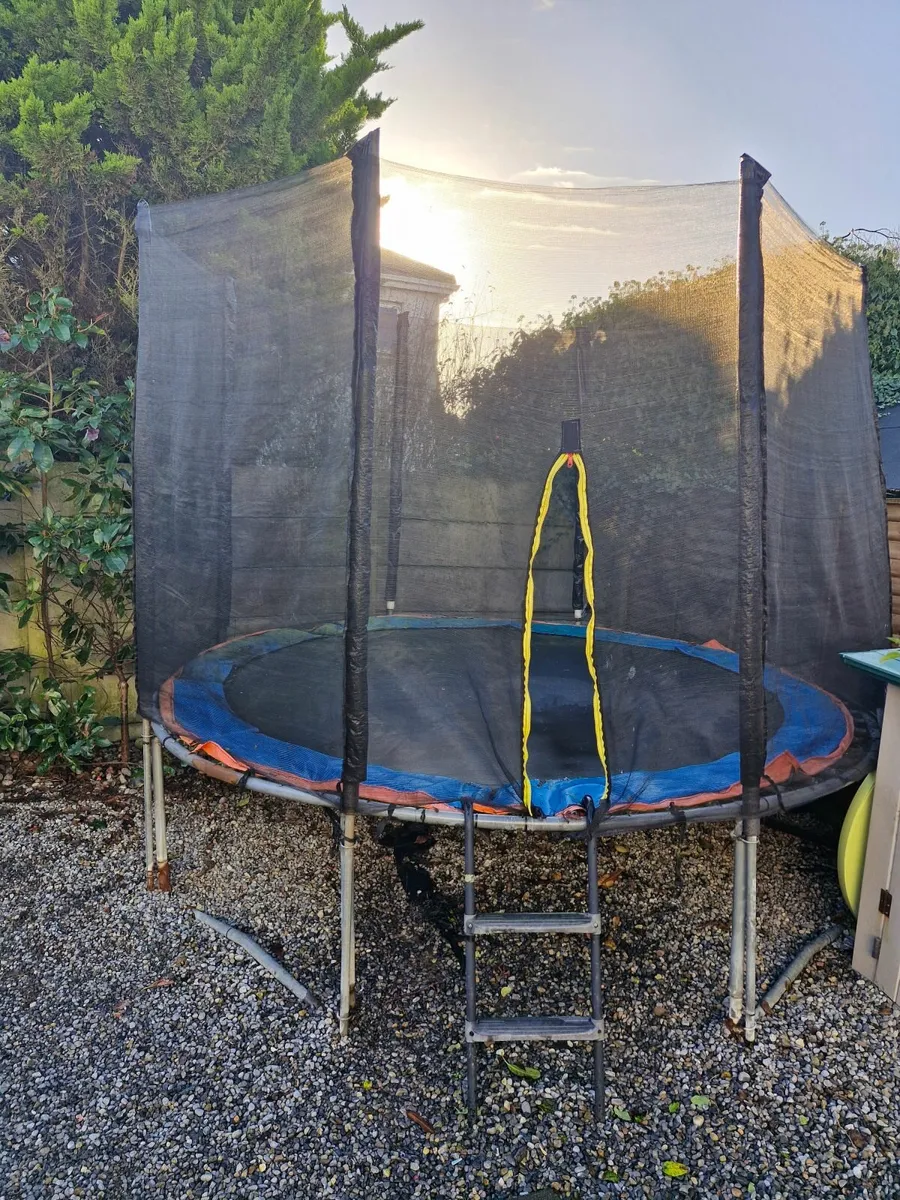 Trampoline - Image 3