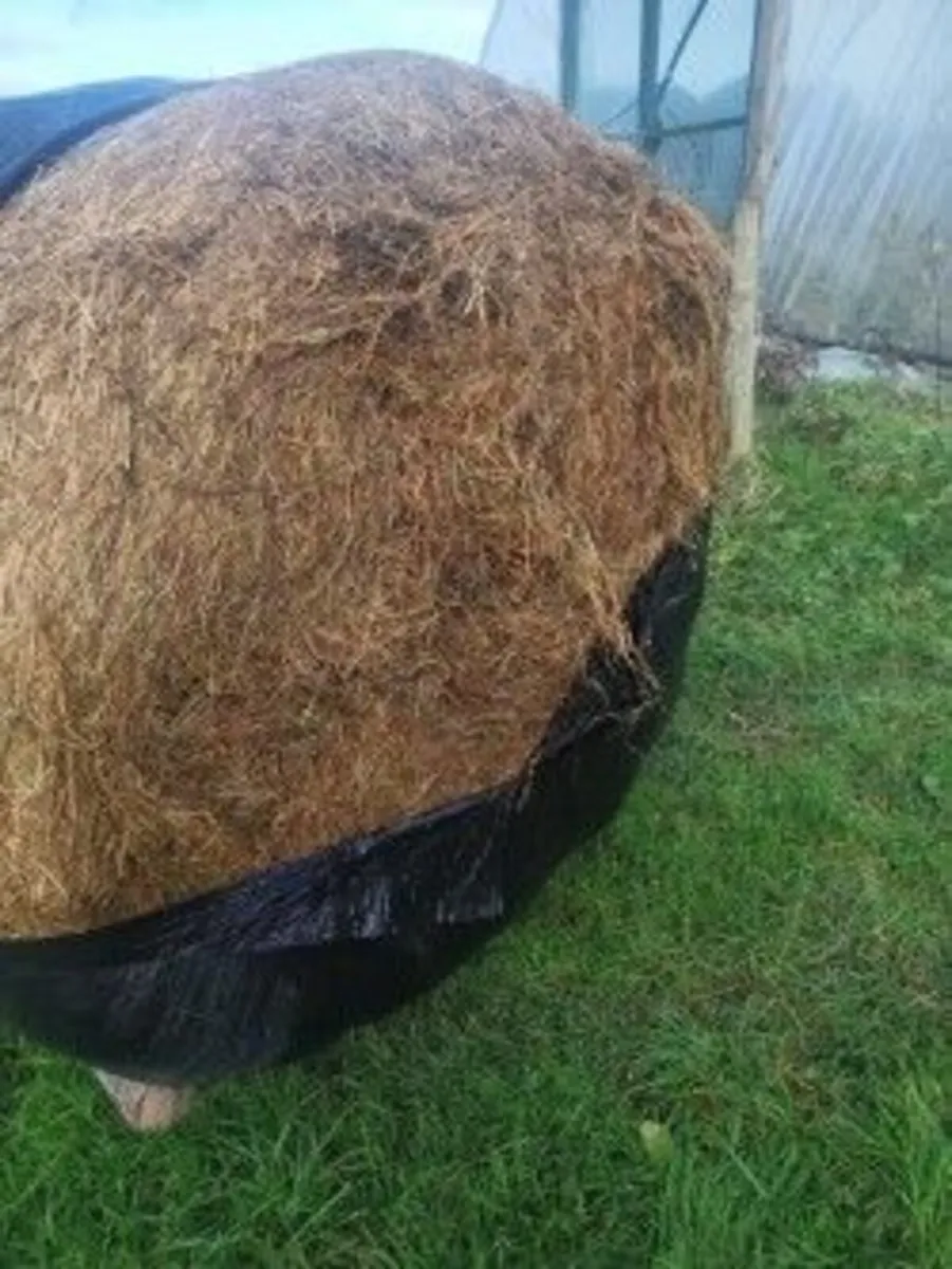 Haylage/Silage - Image 3