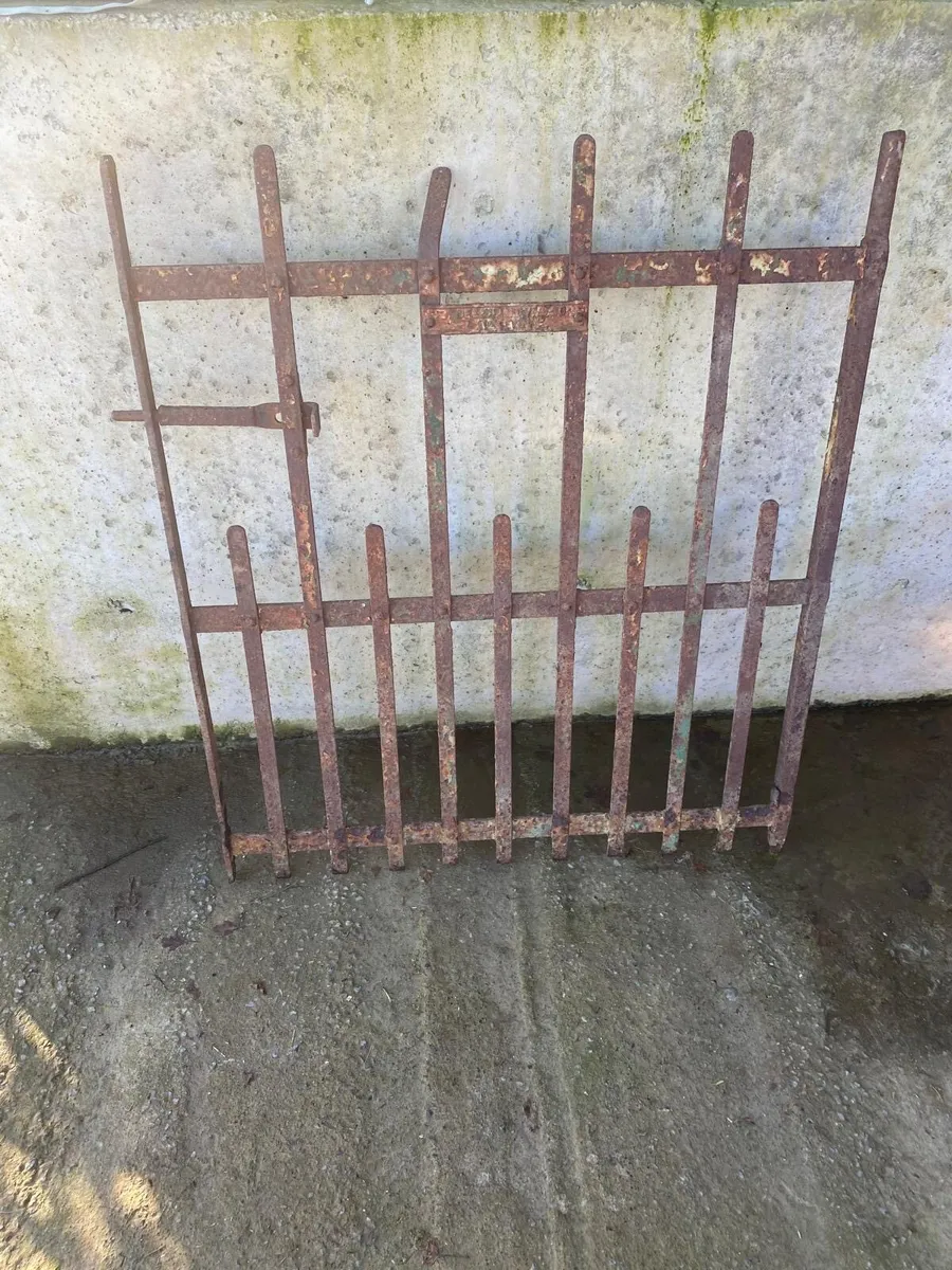 Shed clean out - Image 1