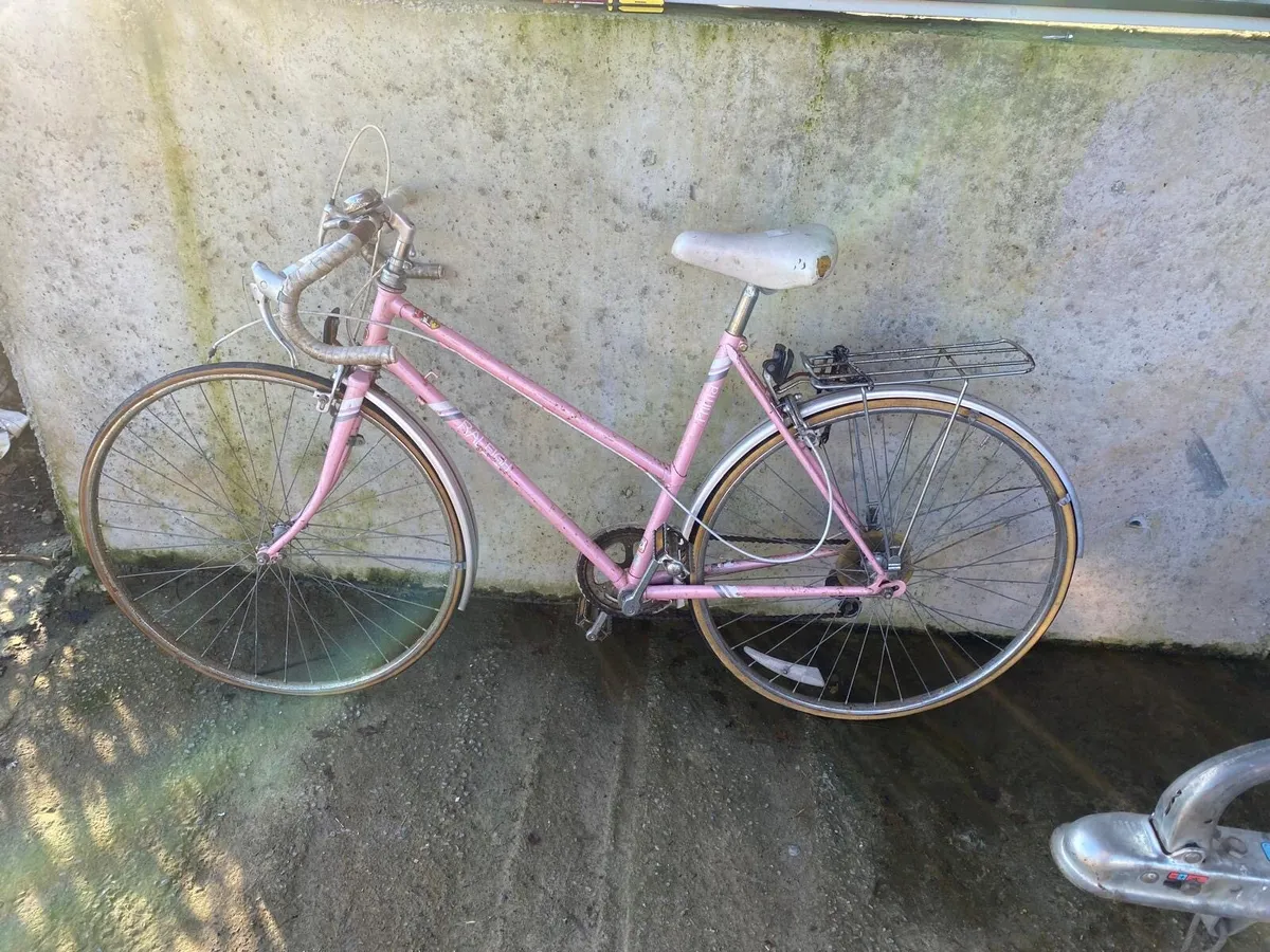 Shed clean out - Image 4