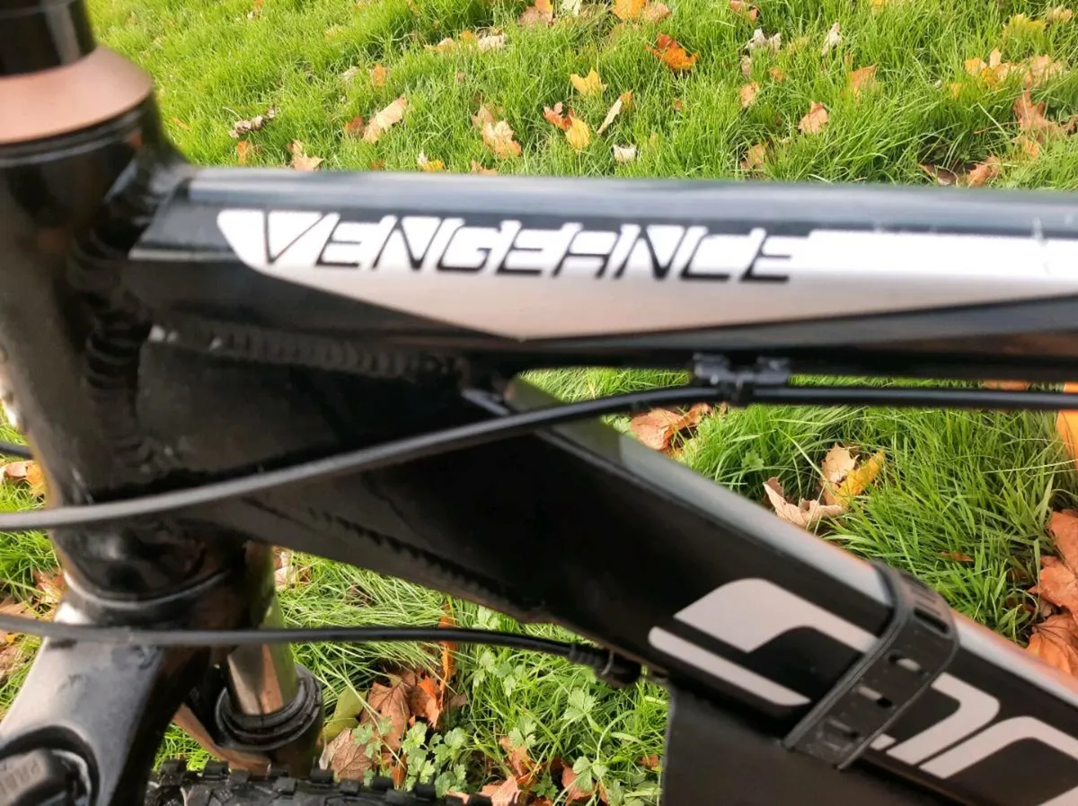 Carrera vengeance just serviced - Image 3