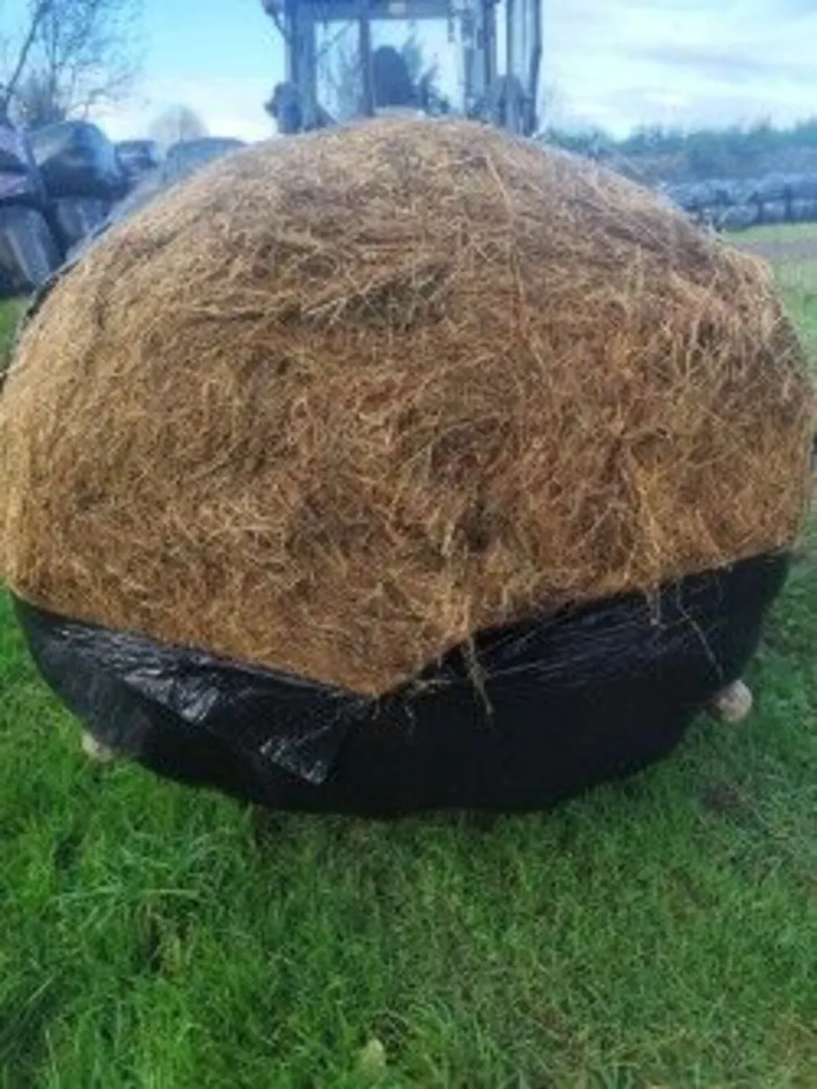 Haylage/Silage - Image 1