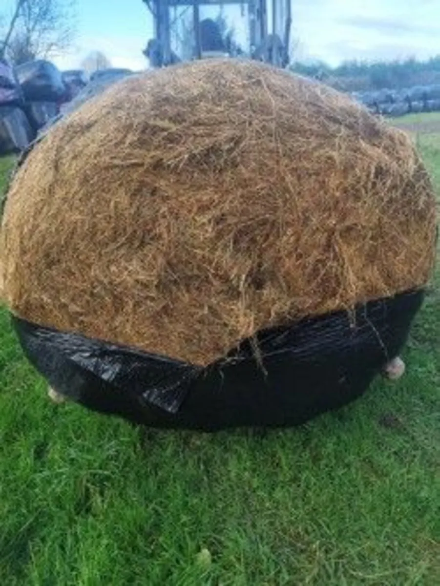 Haylage/Silage - Image 2