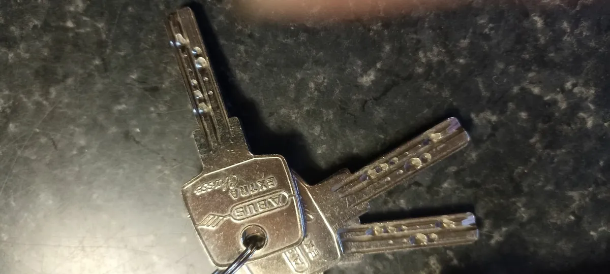 Abus Euro Profile Thumb Turn Security Cylinder - Image 3