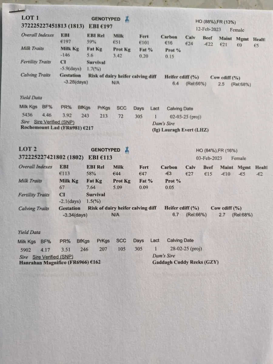 Empty cows - Image 1