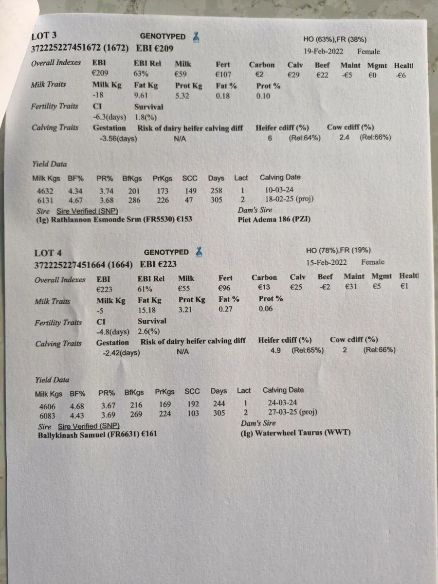 Empty cows - Image 2