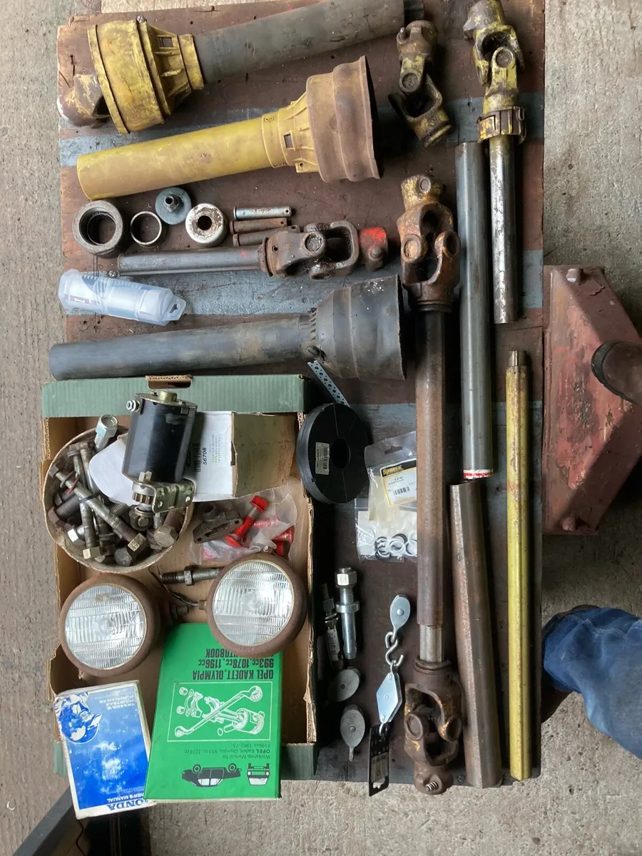 Shed clear out - Image 2