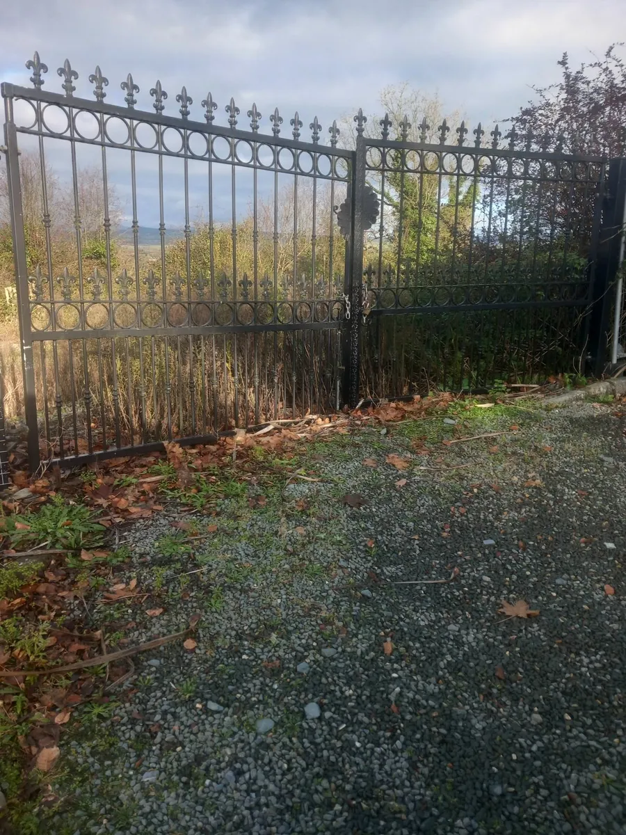 Galvanised entrance gates - Image 1