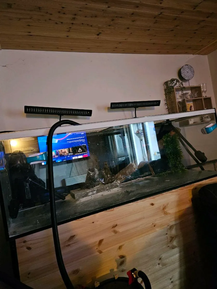 Large fish tank - Image 1