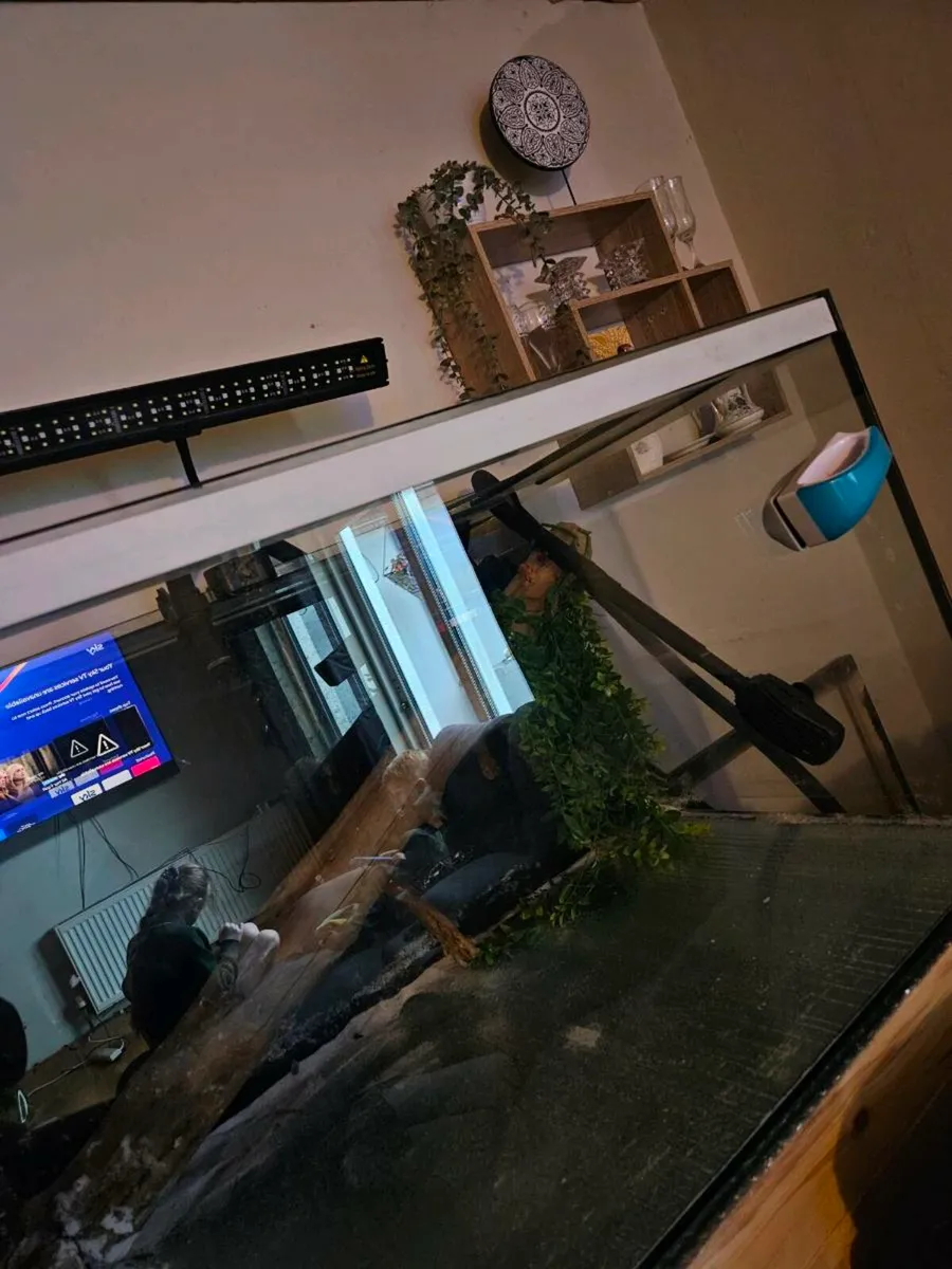 Large fish tank - Image 2